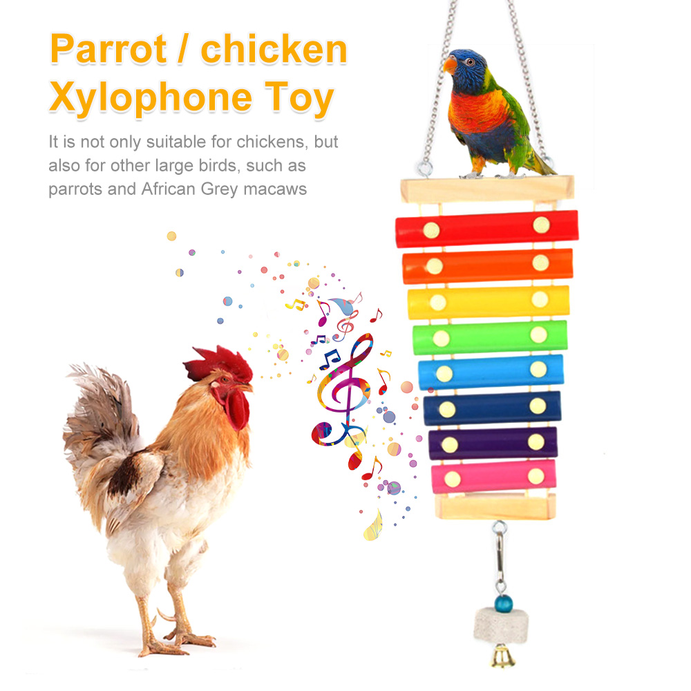 Игрушка-ксилофон с птичьей кур – обзор и цена Musical Instrument Harmonium