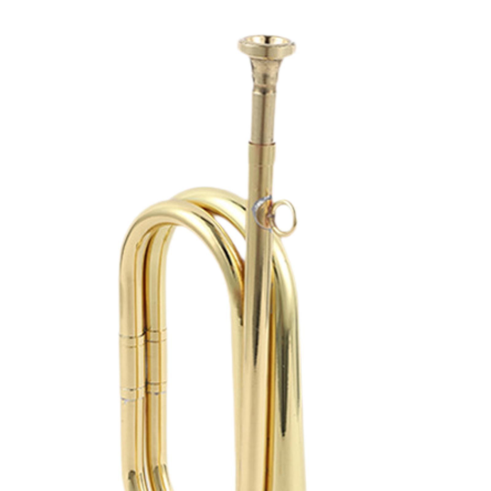 Труба-свирня для начинающих, м – обзор и цена Musical Instrument Bugle