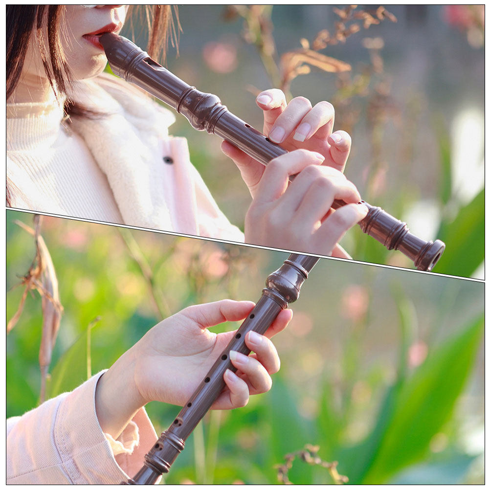 Сопрановая флейта-рекордер с 8 – обзор и цена Soprano Recorder Plastic